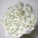 Bianco Sereno