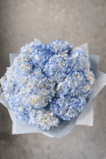 Riviera Blue