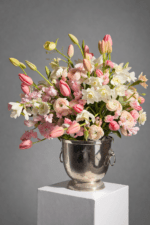 Primavera Rosa - Image 2
