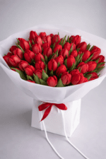 Passione Rossa - Image 2