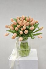 Tulipani Pesca - Image 2