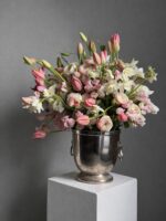 Primavera Rosa