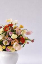 Dolce Primavera - Image 3