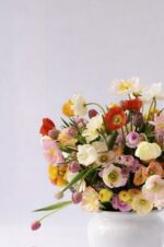 Dolce Primavera - Image 2