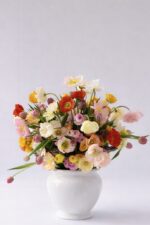 Dolce Primavera