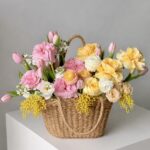 Giardino Mimosa